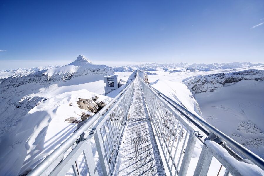 From Montreux: Glacier 3000 Day Trip - Les Diablerets and the road into the Alps