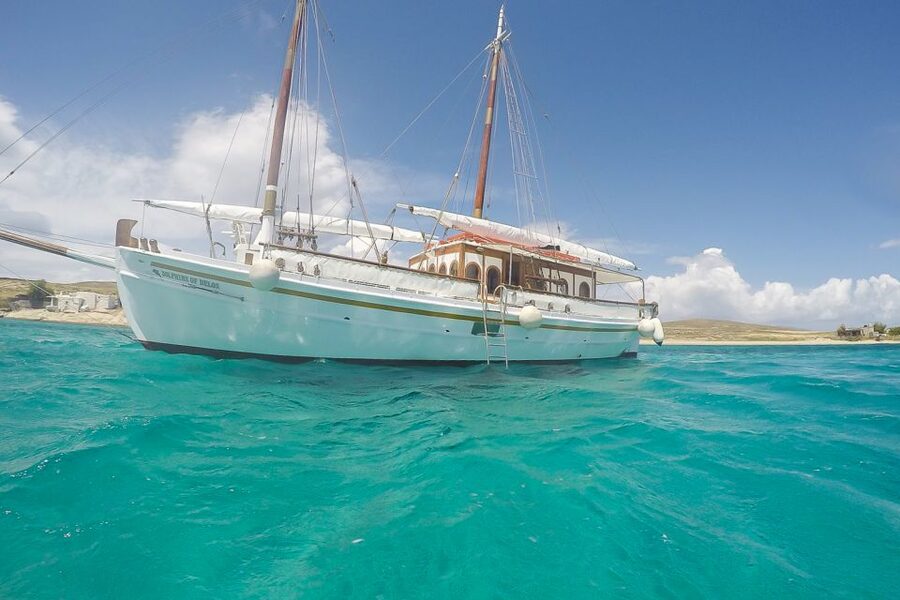 From Mykonos: Delos & Rhenia Islands Half-Day Trip by Boat - Key points at a glance