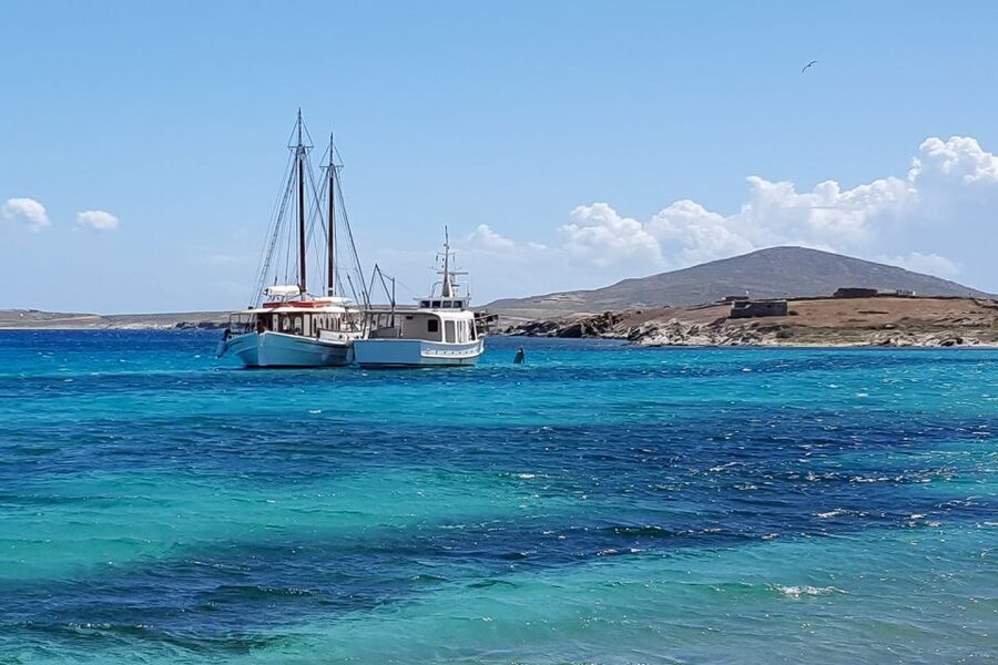From Mykonos: Delos & Rhenia Islands Half-Day Trip by Boat - BBQ lunch with a view of the Aegean