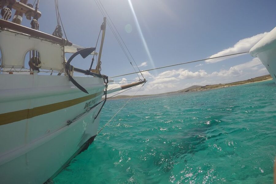 From Mykonos: Delos & Rhenia Islands Half-Day Trip by Boat - Who should book this experience