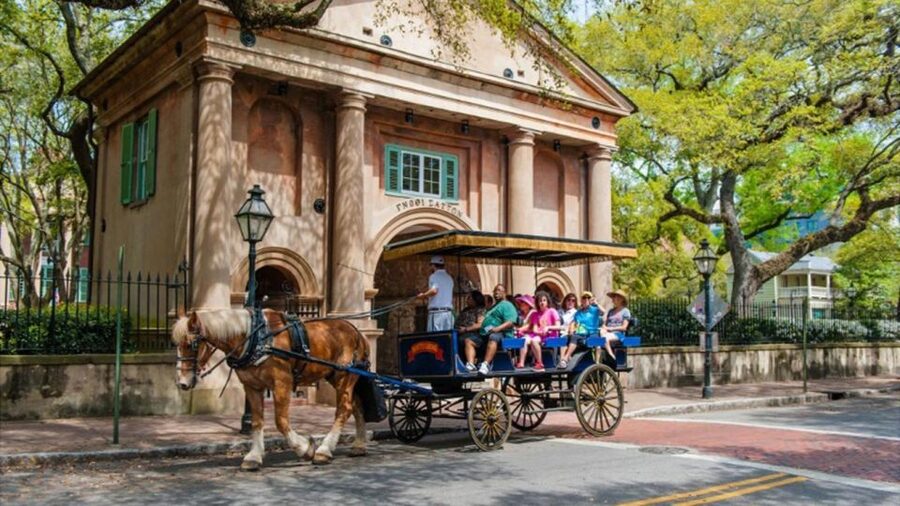 From Myrtle Beach: Charleston Day Trip, Boone Hall & Cruise - Old Charleston by horse and carriage