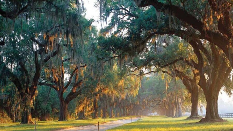 From Myrtle Beach: Charleston Day Trip, Boone Hall & Cruise - Charleston Harbor from the Carolina Belle