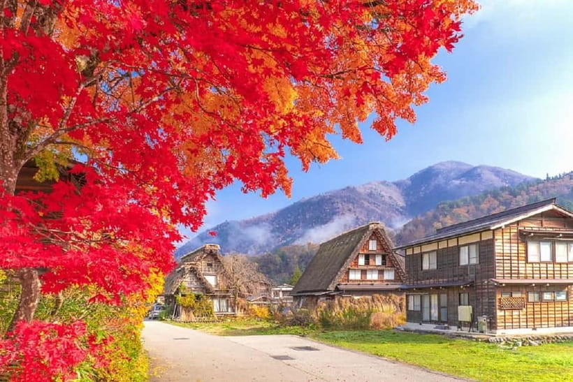 From Nagoya: Shirakawa-go & Hida-Takayama Full Day Trip - Why this Nagoya day trip works