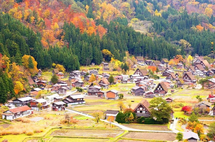 From Nagoya: Shirakawa-go & Hida-Takayama Full Day Trip - Ochudo Café and the One Piece connection