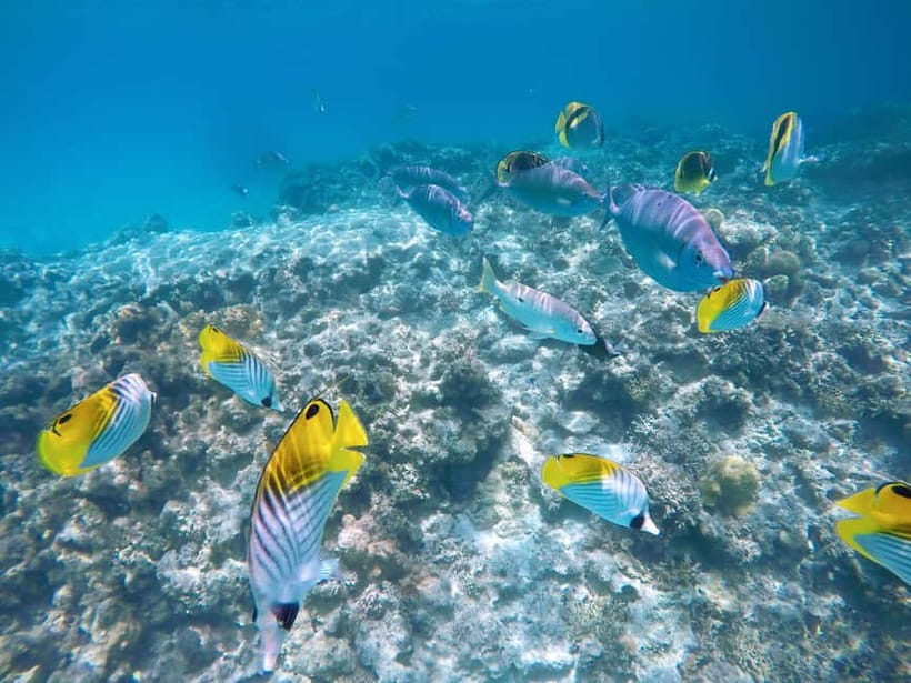 From Naha: Tokashiki Island Day Trip by Boat - Aharen Beach: the easygoing beach choice