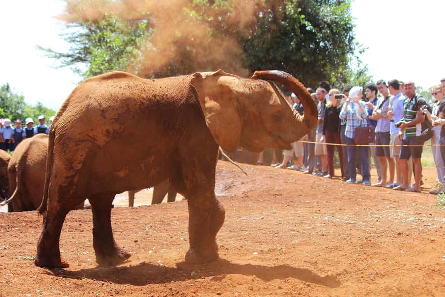 From Nairobi: Elephant Orphanage and Giraffe Center Day Trip - Seeing how Kobe Beads are made