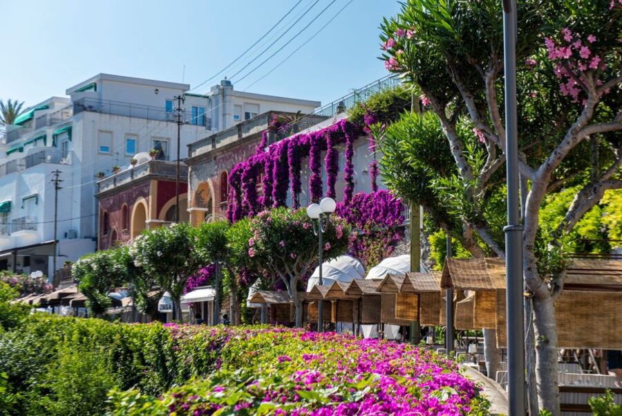 From Naples: Capri, Anacapri, and Blue Grotto Full-Day Trip - What makes the guide so important