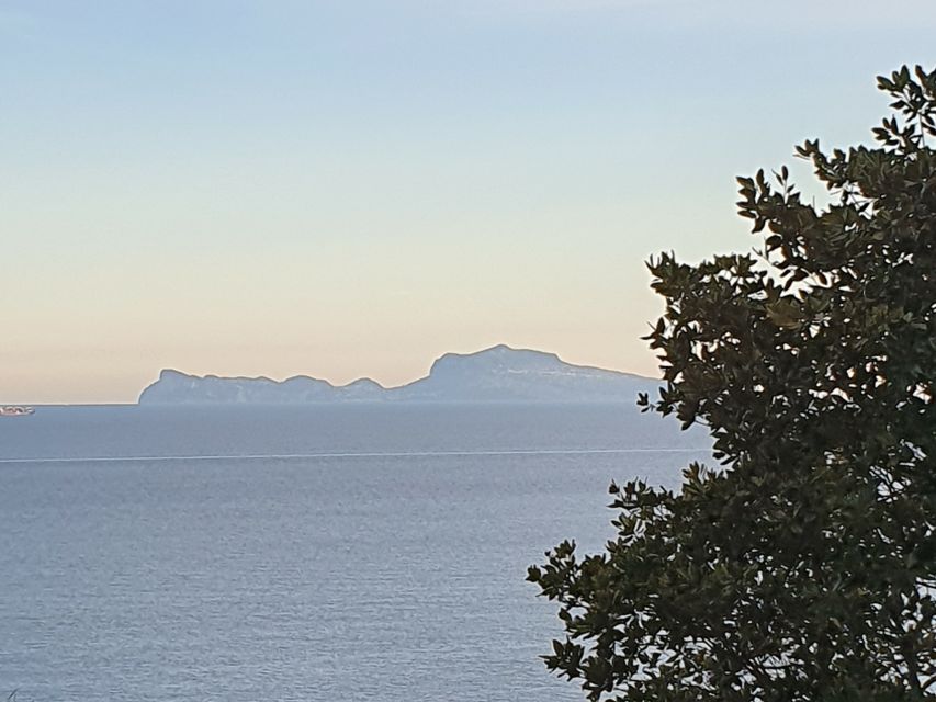 From Naples: Capri Day Trip with Lunch - Key points to know before booking