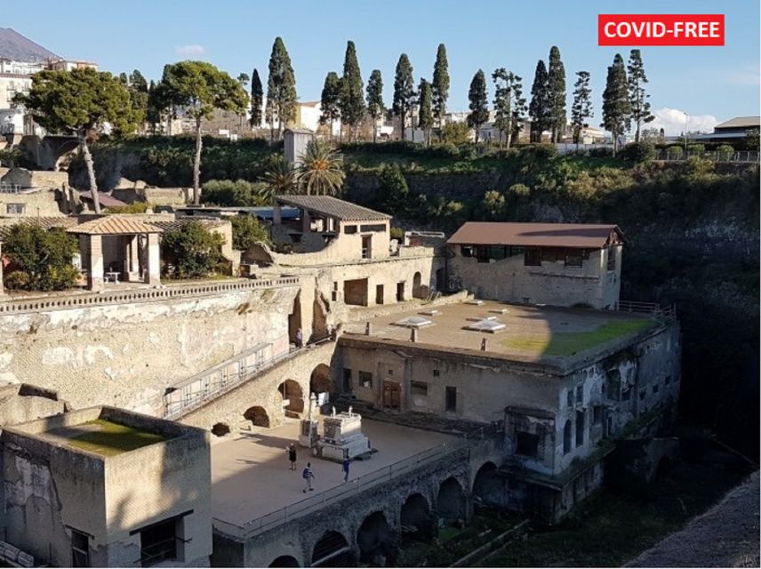 From Naples: Day Trip to Herculaneum with skip the line - Key points to know before booking