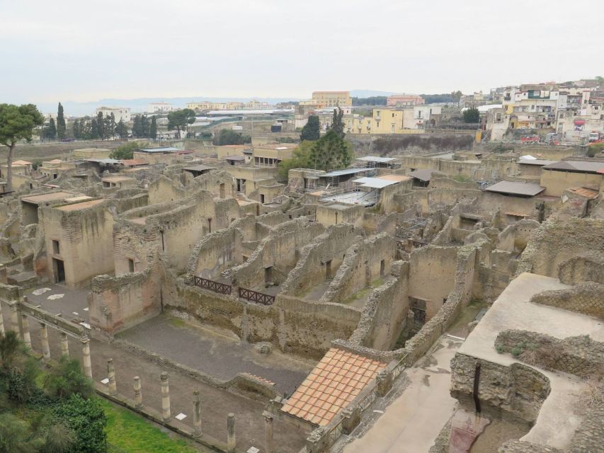 From Naples: Herculaneum, Mount Vesuvius & Pompeii Day Trip - What the minibus adds to the day