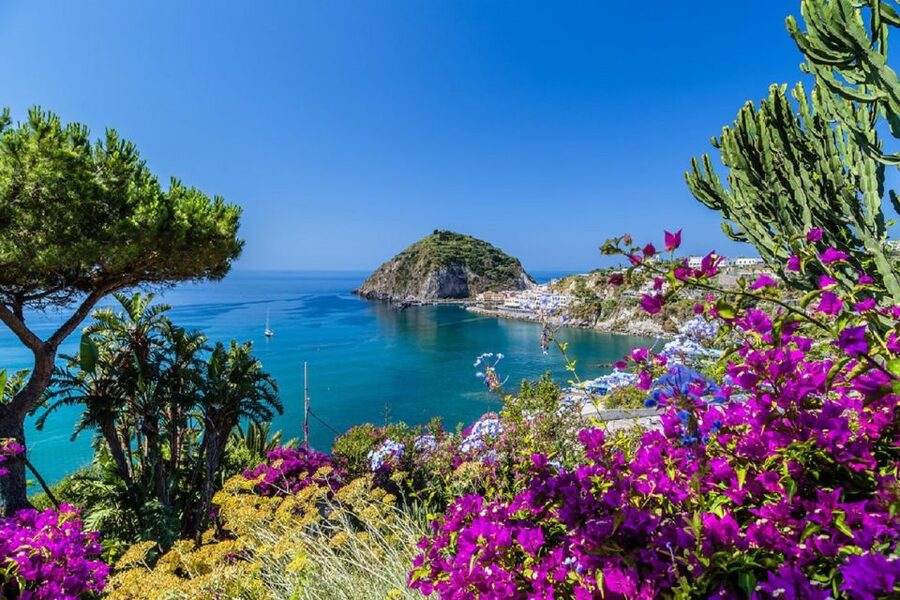 From Naples: Ischia Day Trip with Ferry Tickets and Lunch - The ferry crossing and the rough-water question