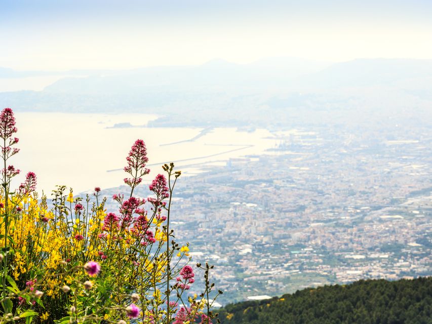 From Naples: Mount Vesuvius and Pompeii Ruins Combo Day Trip - The order may change during the day