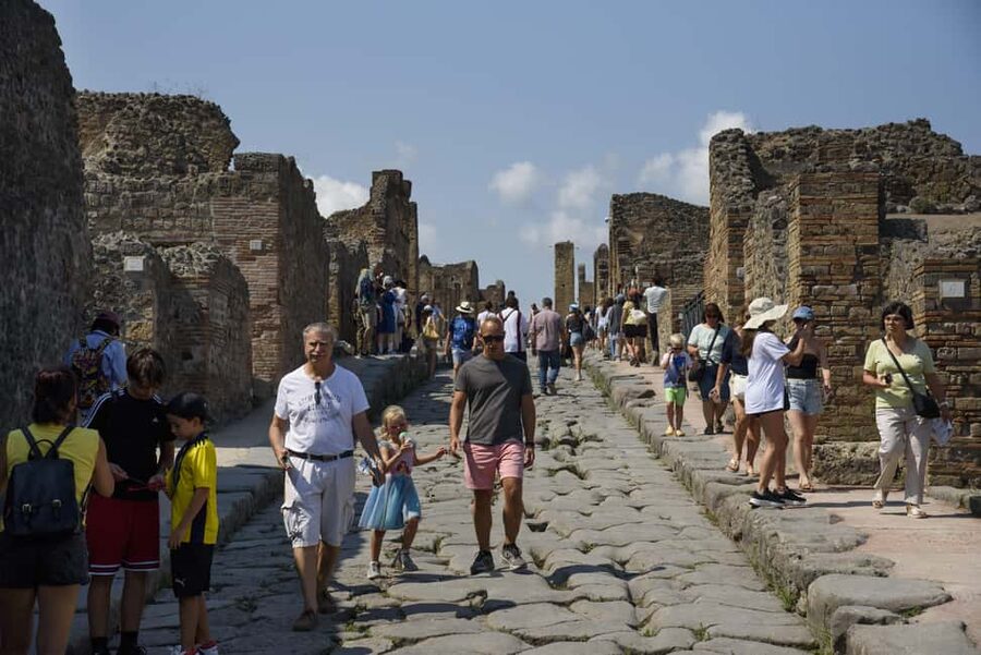 From Naples: Pompeii and Vesuvius Guided Day Trip with Lunch - Guide and driver quality make the difference