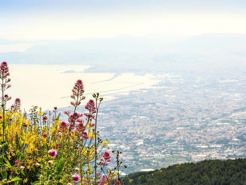 From Naples Port: Pompeii and Mt. Vesuvius Day Trip - Why pair Pompeii with Mount Vesuvius?