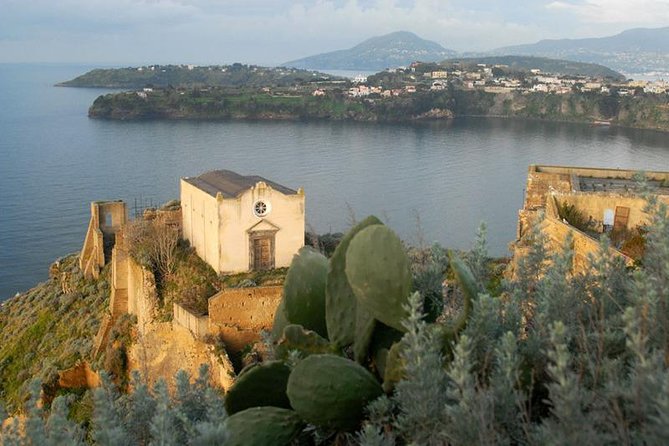 From Naples: Procida Island Day Trip with Lunch - Why Procida makes a fine day away from Naples