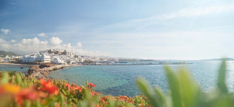 From Naxos: Delos and Mykonos Full-Day Trip - Leaving Naxos Marina for the Aegean