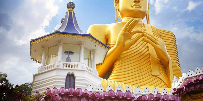 From Negombo: Sigiriya and Dambulla Day Trip and Safari - The optional safari at Minneriya or Kaudulla
