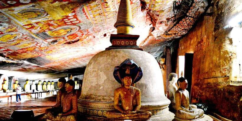 From Negombo: Sigiriya and Dambulla Day Trip and Safari - Who should book it