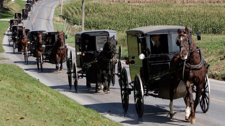 From New York City: Philadelphia & Amish Community Day Trip - Philadelphia begins with the nation’s founding story