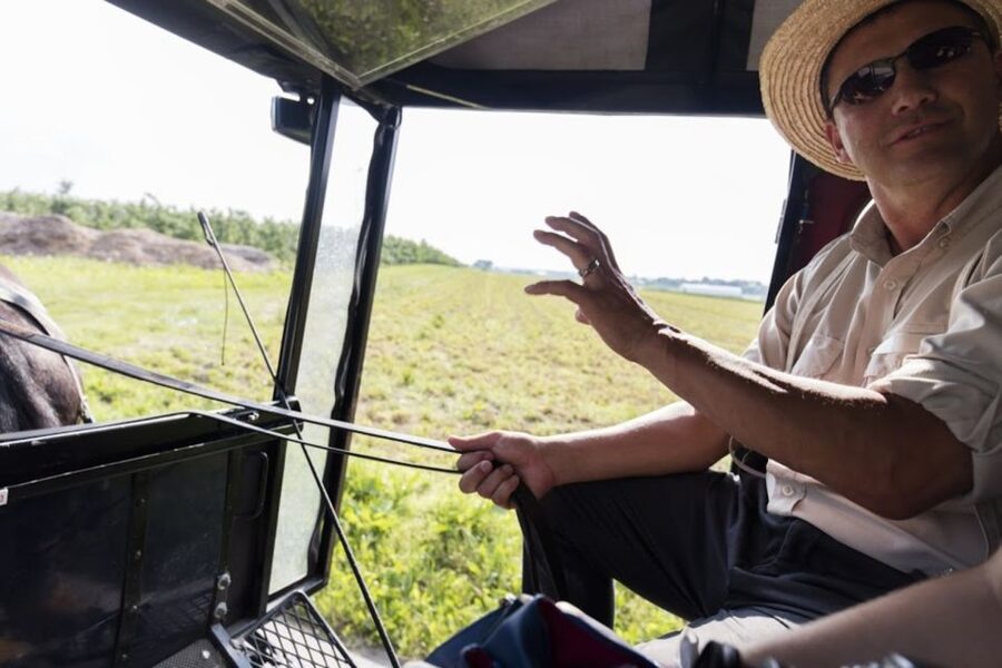 From NYC: Day Trip to Philadelphia and Amish Country - Key points to know before booking