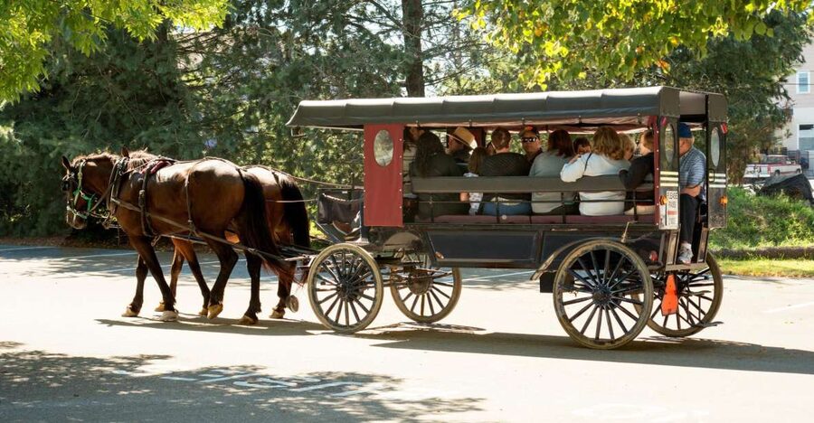From NYC: Day Trip to Philadelphia and Amish Country - Why this Philadelphia and Amish Country pairing works