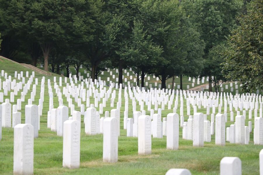 From NYC: Guided Day Trip to Washington DC by Van or Bus - Why this Washington DC day trip works from New York