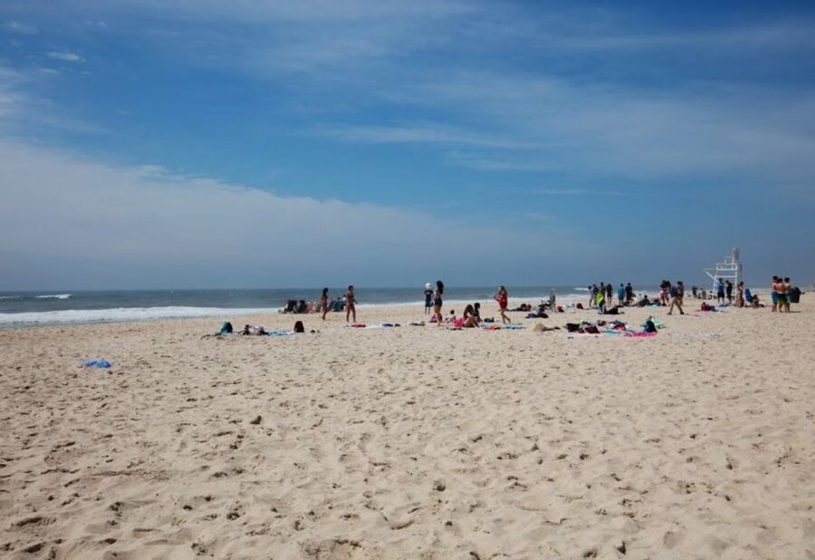 From NYC: Hamptons, Sag Harbor, and Outlet Shopping Day Trip - Wine tasting at a Southampton winery