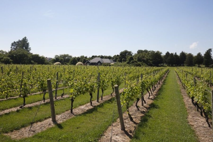 From NYC: Hamptons, Sag Harbor, and Outlet Shopping Day Trip - Watching Queens fade into Long Island country