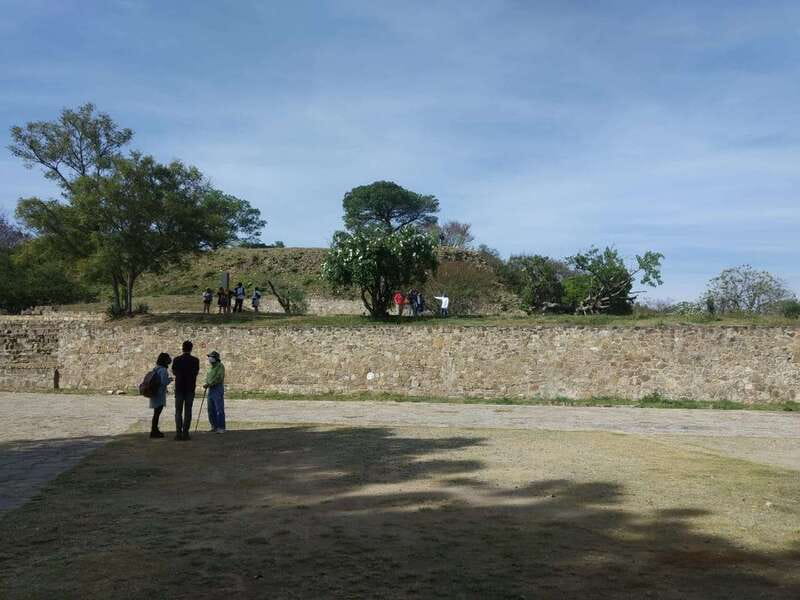 From Oaxaca: Monte Alban, Alebrijes & Black Clay Day Trip - Should you book it?