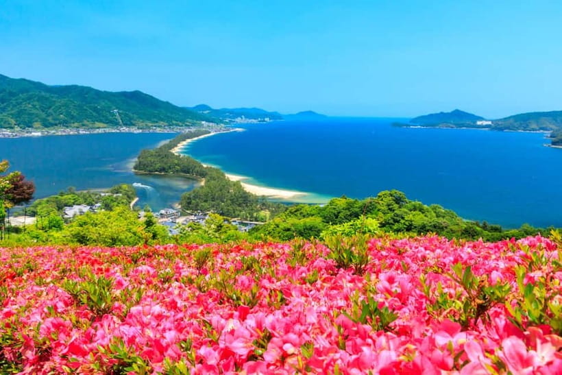 From Osaka: Amanohashidate and Ine Bay Day Trip - The Main Drawback: Five Hours on the Road