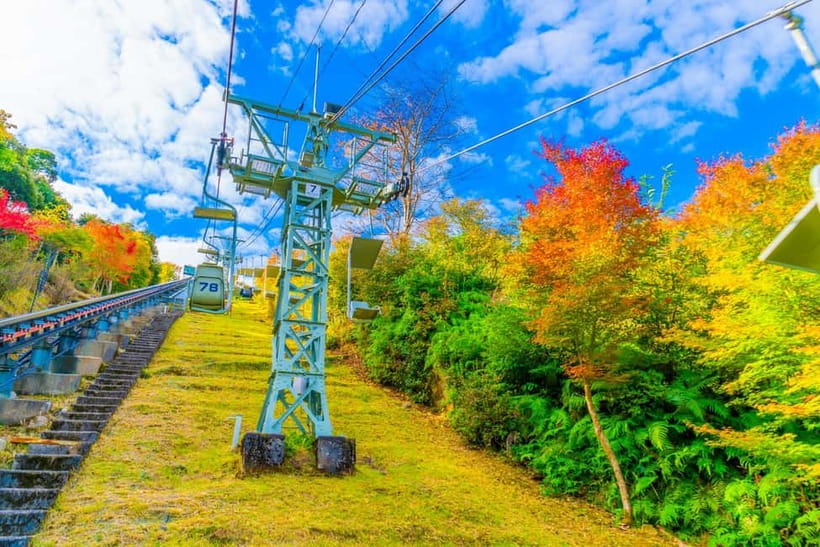 From Osaka: Amanohashidate and Ine Bay Day Trip - The Ine Bay Cruise and Its Unexpected Bird Show