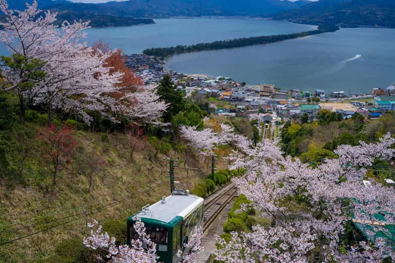 From Osaka: Amanohashidate and Ine Bay Day Trip - Starting at Namba OCAT at 8:50