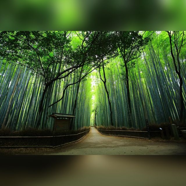 From Osaka/Kyoto: Private Kyoto & Nara Day Trip with Pickup - Nara Park and the deer at Mount Wakakusa