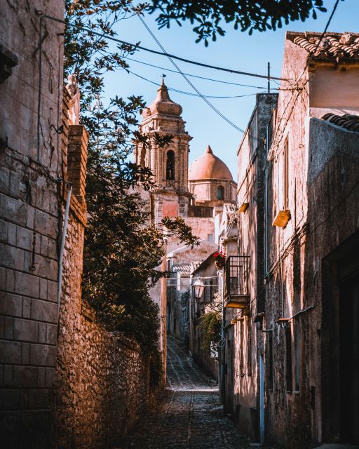 From Palermo: Day Trip to Erice, Segesta and Salt Pans - Segesta and its Greek temple