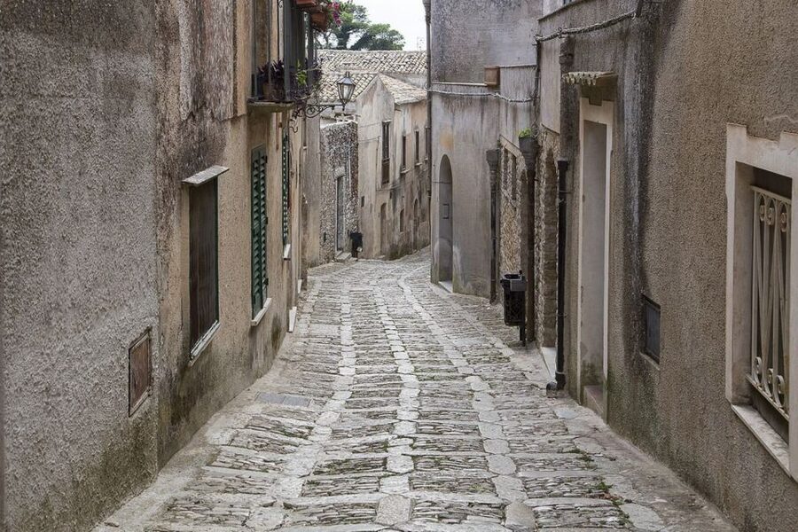 From Palermo: Erice, Salt Pans, and Segesta Day Trip - What the guides add to a driving day