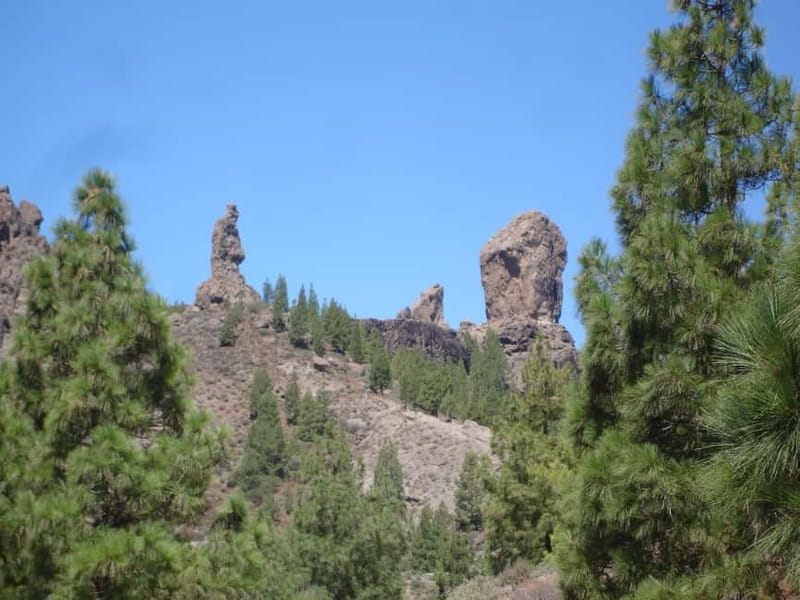 From Palmas: Pico de las Nieves & Roque Nublo Full-Day Trip - Key points to know before booking