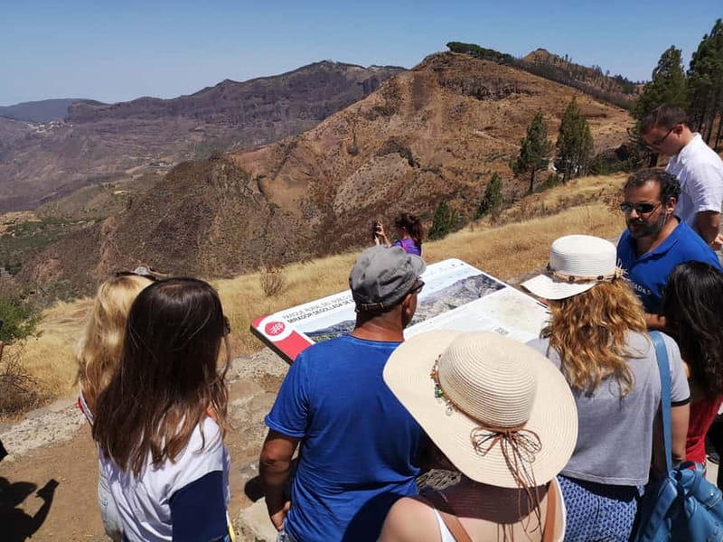 From Palmas: Pico de las Nieves & Roque Nublo Full-Day Trip - Pico de las Nieves at 1,959 meters