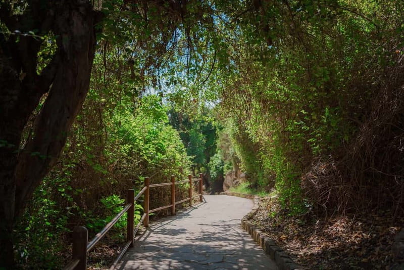 From Paphos: Blue Lagoon and Baths of Aphrodite Day Trip - Aphrodite’s Baths and the Fountain of Eternal Youth