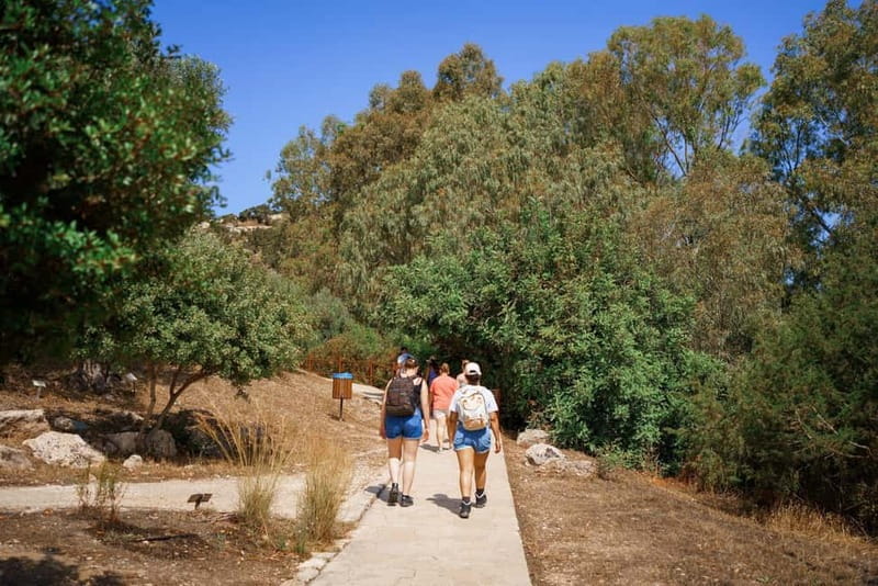 From Paphos: Blue Lagoon and Baths of Aphrodite Day Trip - The Edro III shipwreck and coastal caves