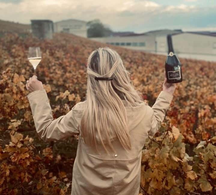From Paris: Champagne Day Trip with 7 Tastings and Lunch - Épernay and the Avenue of Champagne