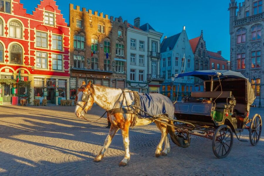 From Paris: Day Trip to Bruges with Optional Seasonal Cruise - The long road to Flanders