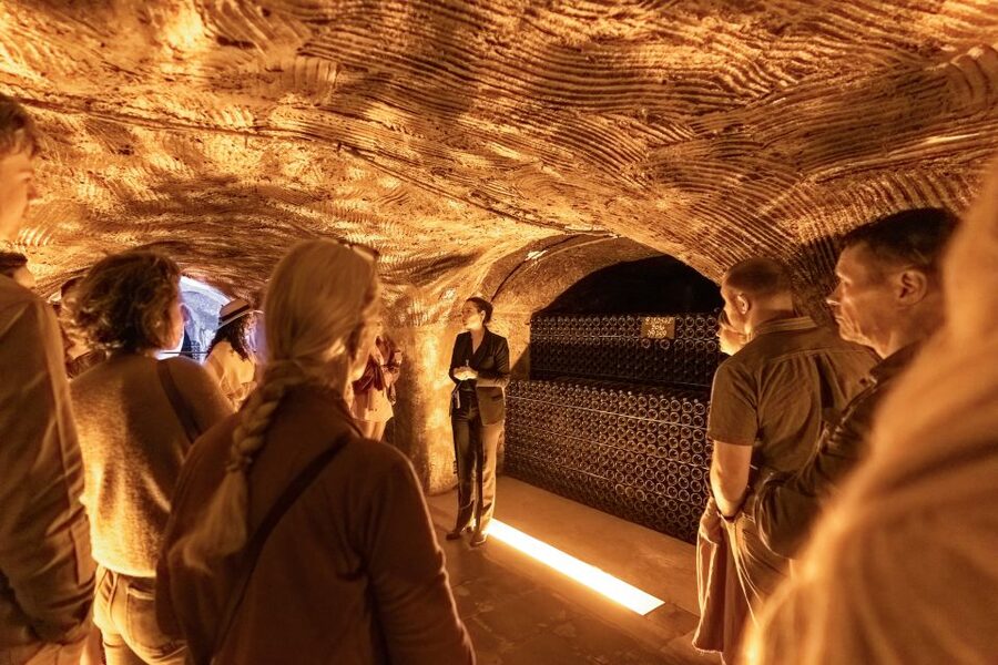 From Paris: Day Trip to Champagne with 8 Tastings & Lunch - A glass among the vines