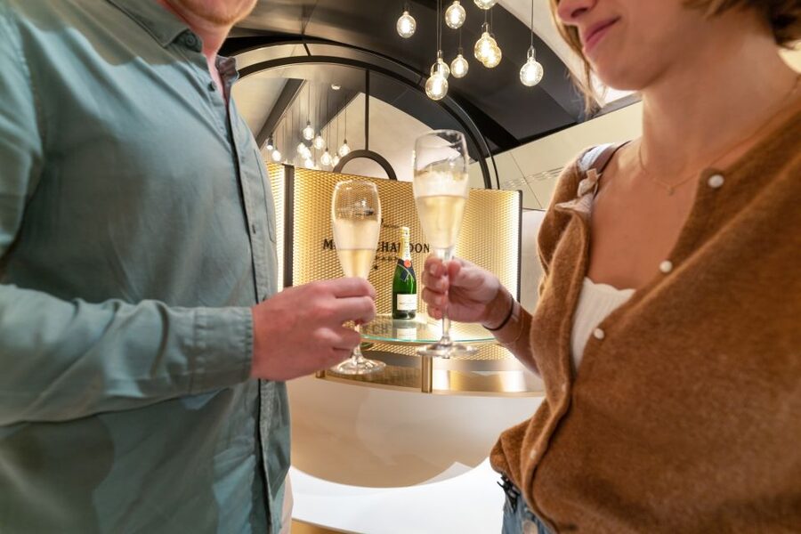 From Paris: Day Trip to Champagne with 8 Tastings & Lunch - Who will enjoy this most?