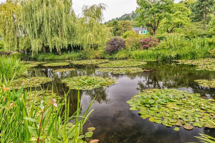 From Paris: Guided Day Trip to Monet's Garden in Giverny - Why Giverny feels different from a museum visit