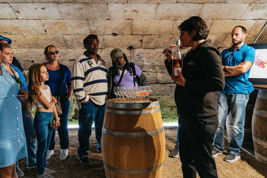 From Paris: Loire Valley Castles Day Trip With Wine Tasting - Why this Loire Valley day works from Paris