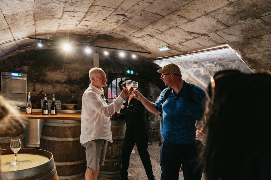 From Paris: Loire Valley Castles Day Trip With Wine Tasting - Should you book the Loire Valley castles day trip?