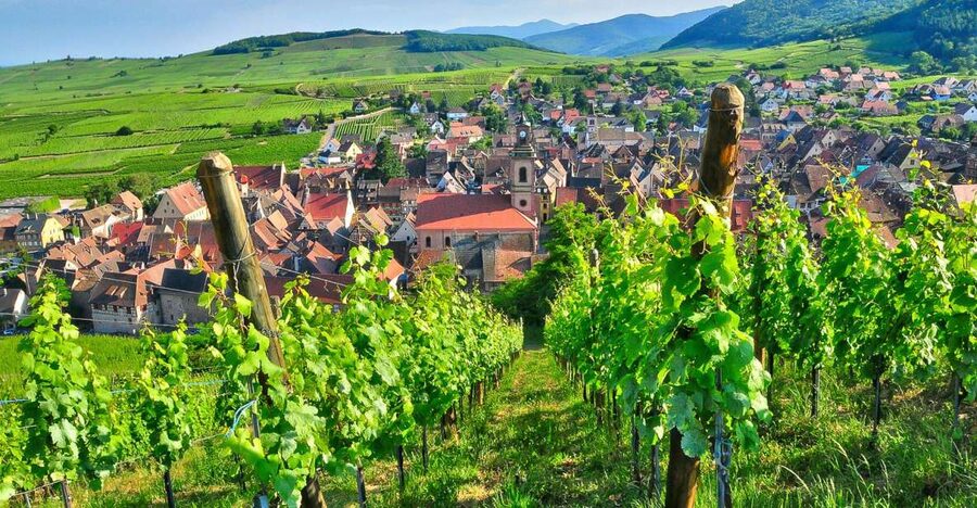 From Paris: Small-Group Champagne Day Trip with Six Tastings - Key points to know before booking