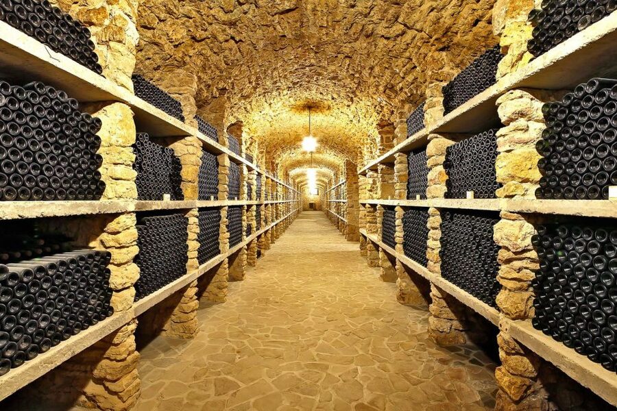 From Paris: Small-Group Champagne Day Trip with Six Tastings - Timing, comfort, and the long ride home