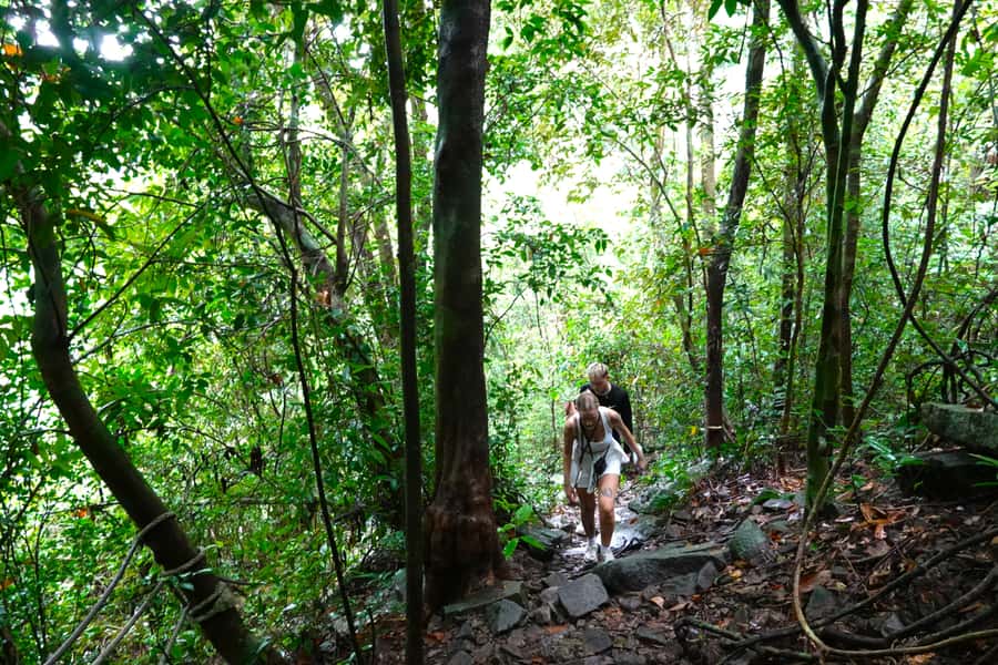 From Pattaya: Rayong Adventure Hike and Kayak Day Trip - Key points at a glance