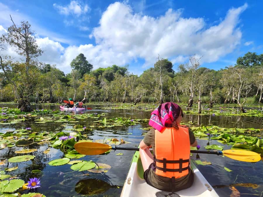 From Pattaya: Rayong Adventure Hike and Kayak Day Trip - Is the $353 price good value?